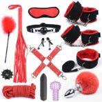 Adult Bondage BDSM Kit for Women – Nylon Restraints Set with Handcuffs, Whip, Gag & Tail Plug - Image 3