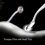 Erotic Stainless Steel Pinwheel BDSM Sex Roller Nipple Breast Spikes Fetish Tongue Stimulator Adult Roleplay Games Sex Toys - Image 2